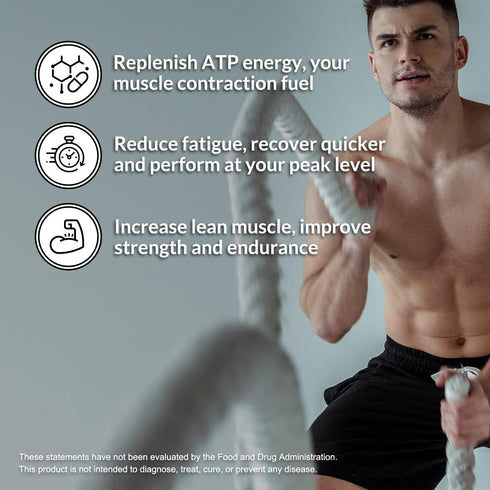 Naked Pure Micronized Creatine Monohydrate - 100 Servings, 500 Grams, Vegan, Non-GMO, Gluten Free