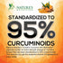 Turmeric Curcumin Supplement with BioPerine, 2600mg with Black Pepper for Best Absorption, 240 Capsules