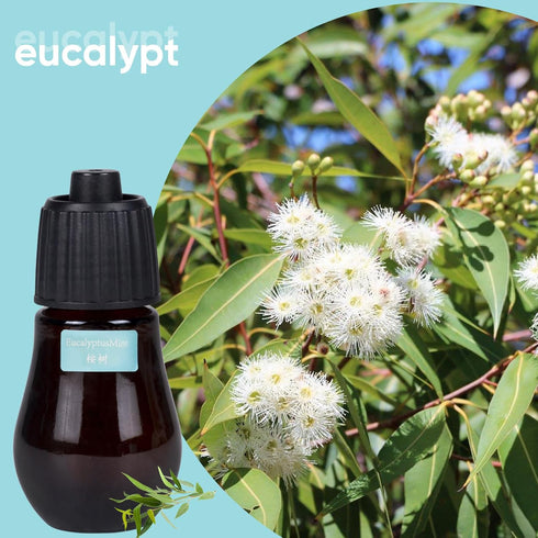Aromatherapy Essential Oil Set, 3-Piece Set in Eucalyptus, Lemongrass, and Orange Flavors