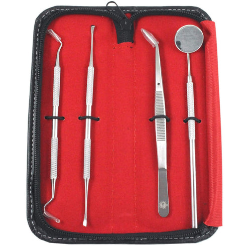 Dental Tools Set - 4 Pc Professional Stainless Steel Dental Pick, Tartar Remover, Oral Hygiene Care Kit