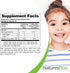 NaturesPlus Animal Parade MagKidz, Natural Cherry Flavor - 90 Chewable Tablets for Bone & Muscle Health - Pack of 2