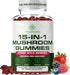 Yi Nutrition 15-in-1 Sugar-Free Mushroom Complex Gummies 10:1 Extract - Lion's Mane, Cordyceps, Chaga,