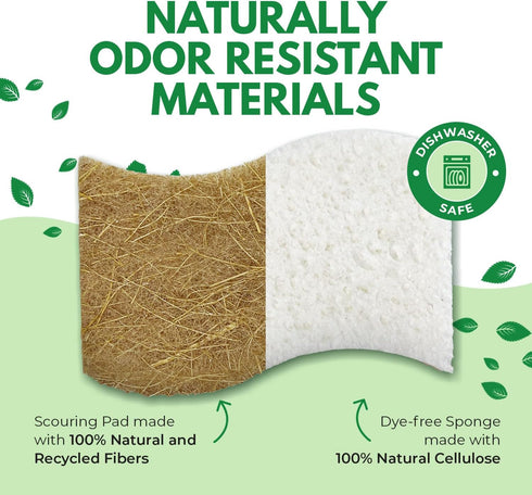 Natural Kitchen Sponges, Pack of 6, Cellulose & Coconut Dish Sponge, Odor Free, Eco-Friendly for Washing
