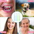 End Tuft Toothbrush, 4PCS Nylon Soft Bristle Tiny Tooth Brush for Hard to Reach Areas Dental Cleaning for Adults