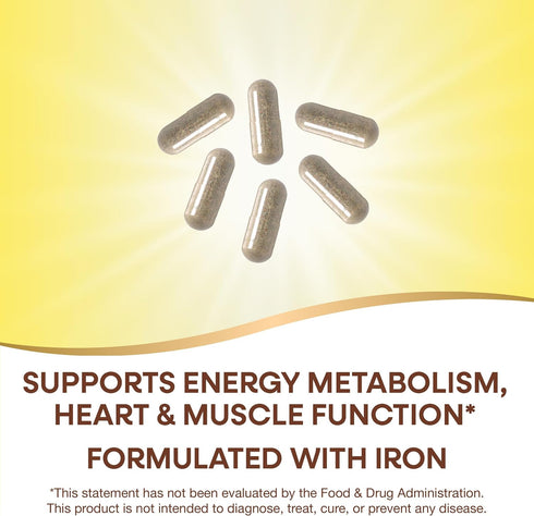 Max6 B12 90 (Packaging Nature's Way Alive! Potency Adult Complete Multivitamin, with Iron, Vitamins A, C, E