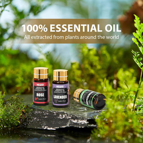 Set 36 5ML Set NESCCI Essential Oil - Essential Oils x - Essential Oils Gift for Diffuser, Humidifier, Soap, Candle