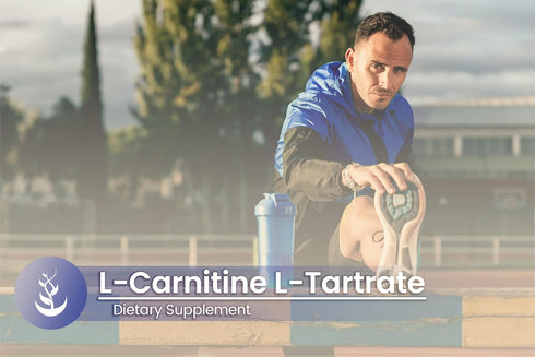 Pure Original Ingredients L-Carnitine L-Tartrate (100 Capsules) - Always Pure, Lab Verified, No Additives