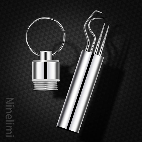 Ninelimi 12 Set Pieces Portable Stainless Steel Pocket Reusable Metal Toothpicks with Holder for Outdoor Picnic Camping