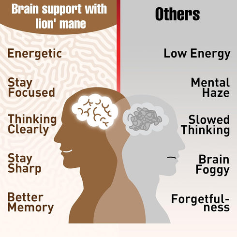 Zylvrax Immune 90 Ashwagandha & Lions Mane Supplements Capsules, Brain Supplements for Memory and Focus, Ashwagandha