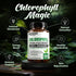 Benevolent Chlorophyll Capsules 700mg - 100% Natural for Energy Boost and Immune Support