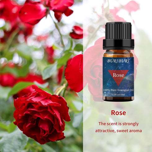 Rose and Sandalwood Essential Oil, 100% Pure Natural Organic Aromatherapy Gift Set, 10MLx2