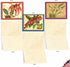 The Best Card Company - 10 Boxed Note Cards with Flowers, Blank Assorted Floral Notecards Bulk, Tiger Orchids M10037BK