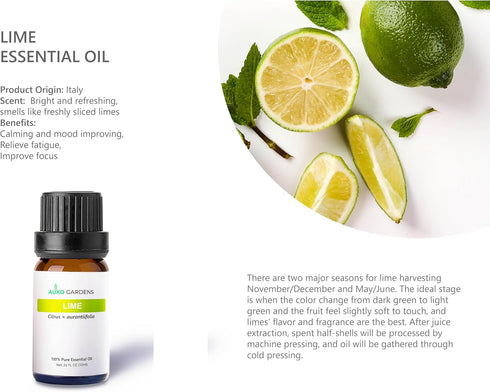 Set Pack 6, 10ml, Citrus Essential Oil - of Pure Therapeutic Grade Fruity Essential Oils includes Lemon, Grapefruit