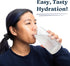 Drinklits Daily Hydration | Vitamins Electrolyte Tablets | Ginger-Lime and Lemon-Lime | 2 Pack
