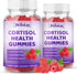 Gummies Gummies 60 Count Cortisol Supplement for Women Sugar Free Cortisol with Ashwagandha, Magnesium, L-Theanine
