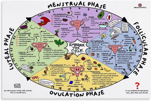 MISKYN Menstrual Cycle Poster Watercolor Nutrition Menstrual Cycle Diagram Female Menstrual Cycle Infograph