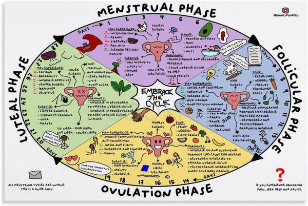 MISKYN Menstrual Cycle Poster Watercolor Nutrition Menstrual Cycle Diagram Female Menstrual Cycle Infograph