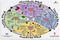 MISKYN Menstrual Cycle Poster Watercolor Nutrition Menstrual Cycle Diagram Female Menstrual Cycle Infograph