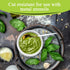 three leaf 8OZ. (240ml) BAGASSE BOWL, 50 Ct. Heavy-Duty Eco-Friendly Disposable Bowl, 100% Biodegradable
