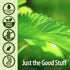 Nettle Leaf Extract, Nature's Answer, 1oz, Prostate Support, Non-GMO, Gluten-Free