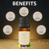 Ozone 10 ml Paradise Burst Fragrance Oil | Green, Lemon & Notes | Long Lasting Scent Reed Diffuser Oil for Home