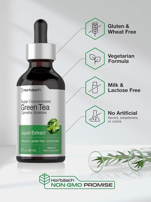 Horbaeach Green Tea Extract Liquid | 2 Fl Oz | Alcohol Free, Vegetarian Tincture, Non-GMO, Gluten Free