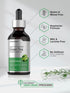 Horbaeach Green Tea Extract Liquid | 2 Fl Oz | Alcohol Free, Vegetarian Tincture, Non-GMO, Gluten Free