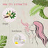2-Pack Vanilla Essential Oil - 100% Pure Organic Natural Plant (Vanilla planifolia) Vanilla Oil for Diffuser, Aroma, Spa, Massage, Yoga, Perfume, 2x10ML