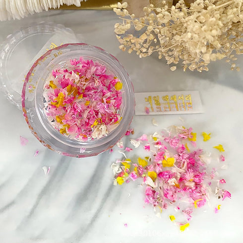 3 Boxes Mini Dry Flowers, Tiny Dried Flowers for Nails Crafts and DIY Resin Mold Jewelry Making