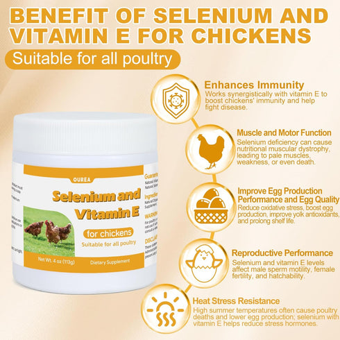 Ourea Immune Selenium and Vitamin E Powder for Chickens, Selenium for Chickens, System, Muscle Support & Prevents
