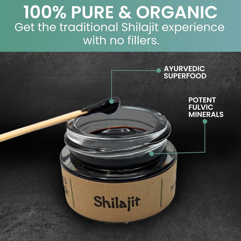 Holistic Bin Shilajit Resin - Himalayan Fulvic & Trace Black Platinum Extract, 10g with Serving Spoon