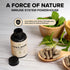 Lions Mane Supplement Capsules - 120 Caps - with Turkey Tail for Nootropic Brain Fog, Focus, Memory, Nerve Function,