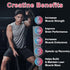 2 Pack Creatine Monohydrate Gummies - 120 CT, 5000mg per Serving, Sugar Free Chewable for Muscle Strength