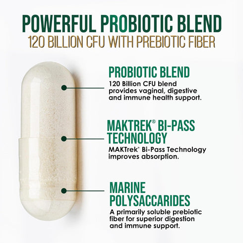 Probiotics for Digestive Health | 120 Capsules | 120 Billion CFU for Women's Vaginal pH & Daily Immune Support,