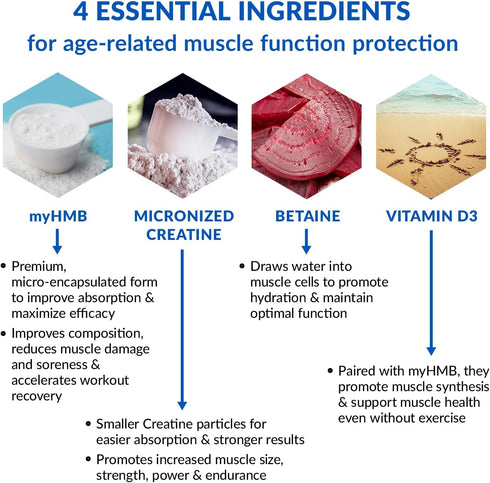 BioTrust Ageless Muscle Builder - Creatine HMB Powder with Vitamin D3 & Betaine, 30 Servings