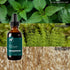 Mountain Meadow Herbs Herbal Calcium, Vegan Liquid Calcium Supplement for Bone & Teeth Support, 2 oz, High Absorption