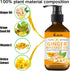VedoAID (3pc) Ginger Massage Oil for Lymphatic Drainage, Sore Muscle Relief, and Massage Therapy, Ginger Oil