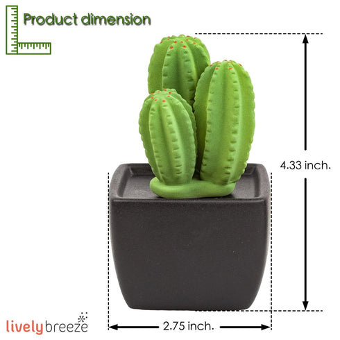 Tri Cactus, Non-Electric Ceramic Diffusers for Essential Oils and Aromatherapy Fragrance, White Ceramic Diffusers