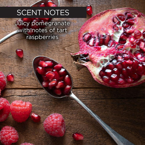 Whish Beauty Body Butter for Women - Pomegranate, 5 fl oz - Antioxidant-Rich Moisturizing Lotion