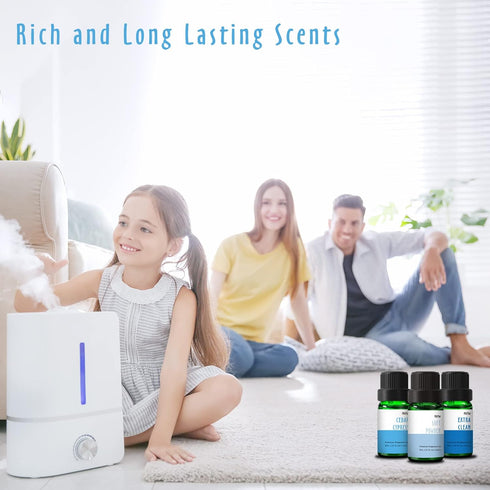 Set, Fragrance Oil, MitFlor Hotel and Clean Fragrance Oils Soap Candle Making Scents, Essential Oils for Diffusers