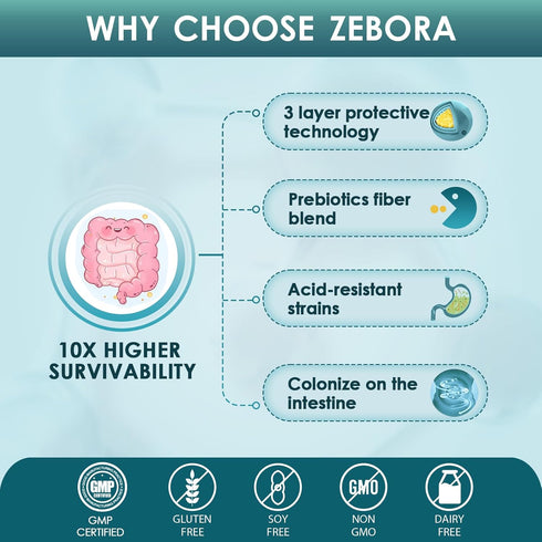 ZEBORA Probiotics for Men - 90 Tablets, 60 Billion CFUs for Immune and Gut Health, 10 Strains, Hypoallergenic, Gluten &