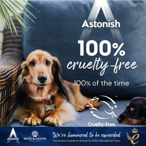Astonish Streak Free Window & Glass Cleaner, 3 Pack Spray Bottles with Vinegar for Deep Cleaning, 750ml