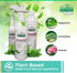 CHOMP! Insect and Pest Control Spray, 24 Ounces, Plant-Based Formula for Indoor & Outdoor Use