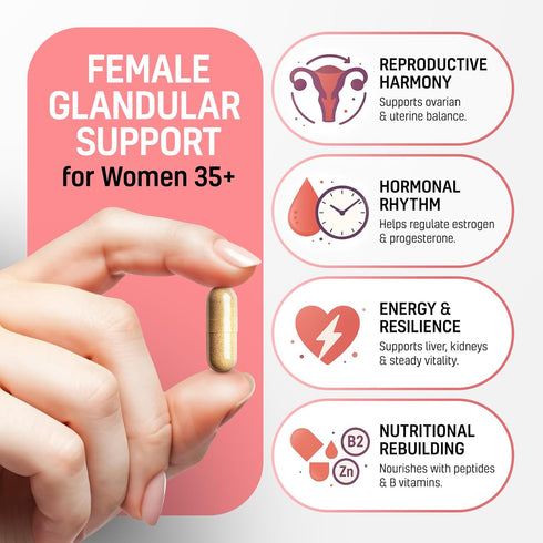 Next Form 6 1 100% 180 Beef Organ Supplement for Women in Complex Hormone Balance & Energy - Grass Fed & Pasture Raised