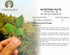 Bilva Powder - Bael Leaves Powder - Aegle marmelos -100 Gm - Supports Proper Function of The Bowels