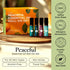 Set 0.34 Oz Set Gya Labs Peaceful Roll on Essential Oils - Fl Each - Essential Oil Relaxation Womens Gifts