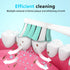 Replacement Toothbrush Heads for Philips Sonicare - Medium Softness Bristles, 10 Brush Heads Refill, White