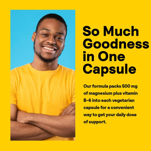 Nature’s Life Renewing Magnesium 500 mg, Citrate, Malate, Oxide Plus Vitamin B-6, 275 VegCaps