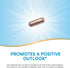Nature’s Way St. John’s Wort Premium Extract, 90 Capsules, Promotes a Positive Outlook, Non-GMO & Vegan