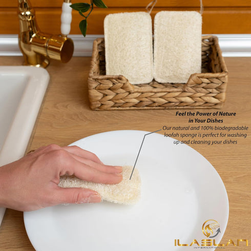 Natural Loofah Dish Sponge Scrubber, Eco-Friendly, Biodegradable, Reusable Kitchen Sponge, 3 Count